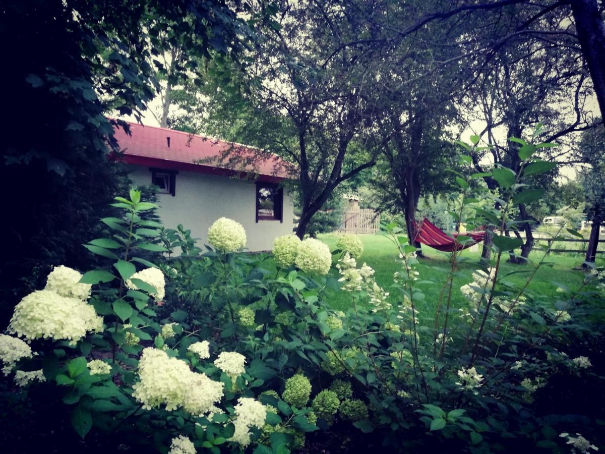 Babie Lato Vila Wlodarka Exterior foto